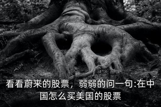 看看蔚來的股票，弱弱的問一句:在中國怎么買美國的股票