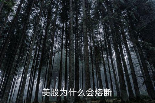 美股為什么會(huì)熔斷