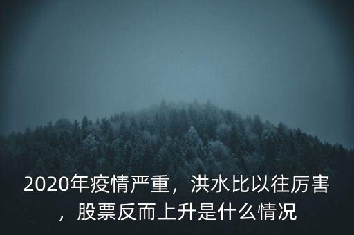2020年疫情嚴(yán)重，洪水比以往厲害，股票反而上升是什么情況