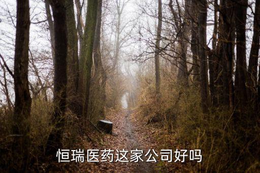 恒瑞醫(yī)藥這家公司好嗎