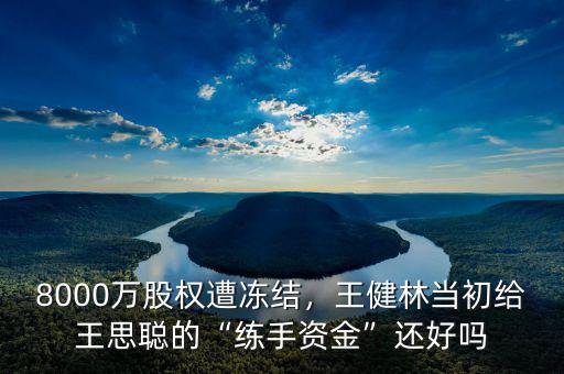 8000萬股權遭凍結，王健林當初給王思聰的“練手資金”還好嗎