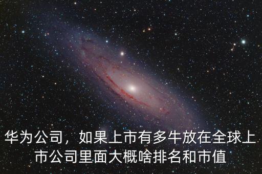華為公司，如果上市有多牛放在全球上市公司里面大概啥排名和市值