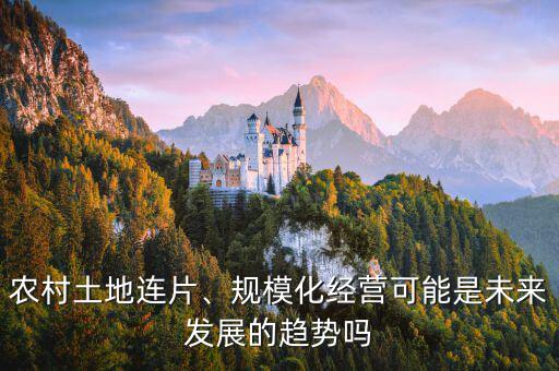 農(nóng)村土地連片、規(guī)模化經(jīng)營可能是未來發(fā)展的趨勢嗎
