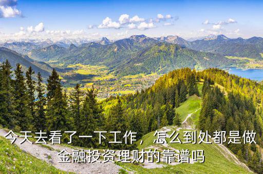 今天去看了一下工作，怎么到處都是做金融投資理財(cái)?shù)目孔V嗎