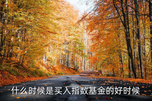 指數(shù)基金什么時(shí)候買,什么時(shí)候續(xù)回