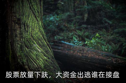 資金出逃什么意思,怎么判斷主力資金在出逃