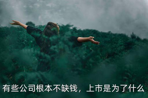 有些公司根本不缺錢，上市是為了什么