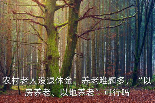 農(nóng)村老人沒(méi)退休金、養(yǎng)老難題多，“以房養(yǎng)老、以地養(yǎng)老”可行嗎