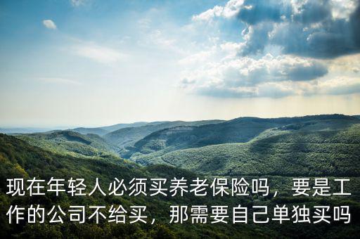 現(xiàn)在年輕人必須買養(yǎng)老保險(xiǎn)嗎，要是工作的公司不給買，那需要自己?jiǎn)为?dú)買嗎