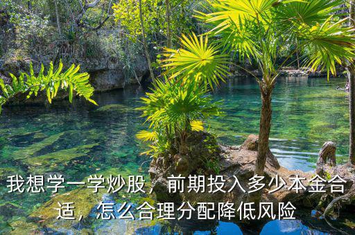 我想學一學炒股，前期投入多少本金合適，怎么合理分配降低風險