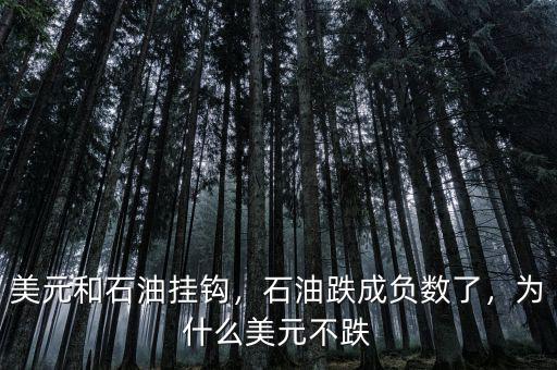 美元和石油掛鉤，石油跌成負(fù)數(shù)了，為什么美元不跌