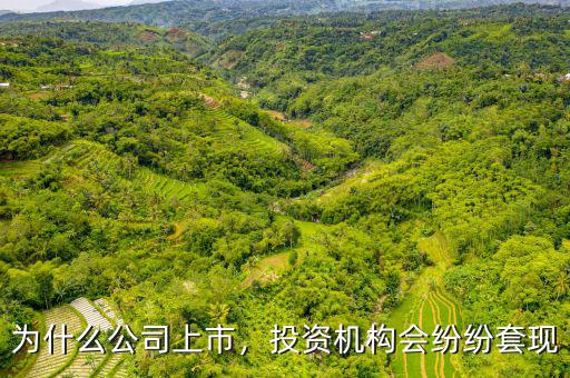 為什么公司上市，投資機(jī)構(gòu)會(huì)紛紛套現(xiàn)