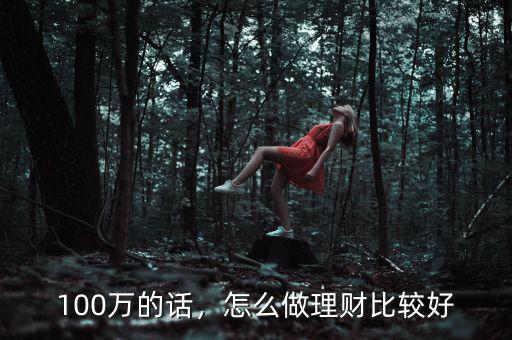 100萬做什么理財(cái),怎么做理財(cái)比較好
