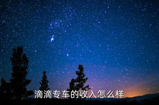 滴滴專(zhuān)車(chē)的收入怎么樣