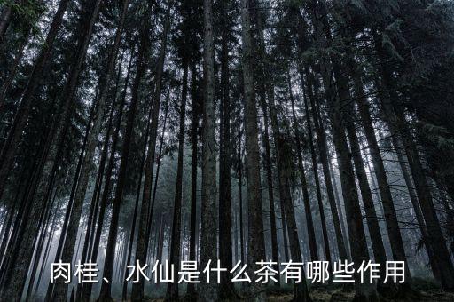 肉桂、水仙是什么茶有哪些作用