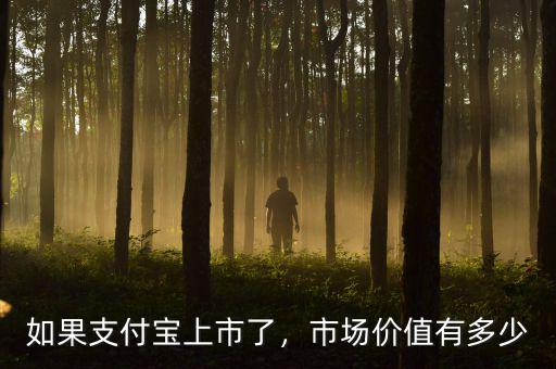 如果支付寶上市了，市場價值有多少