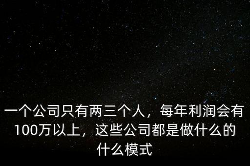 一個(gè)公司只有兩三個(gè)人，每年利潤(rùn)會(huì)有100萬(wàn)以上，這些公司都是做什么的什么模式