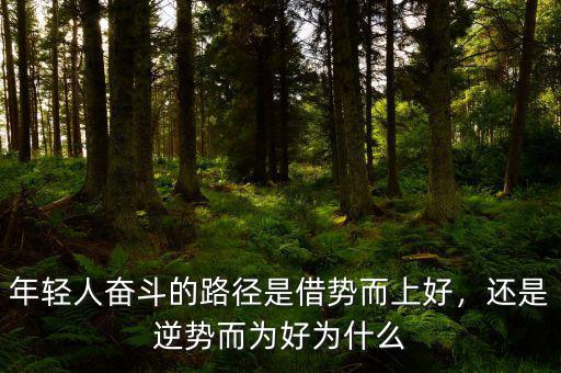 年輕人奮斗的路徑是借勢(shì)而上好，還是逆勢(shì)而為好為什么