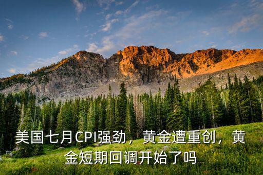 美國七月CPI強(qiáng)勁，黃金遭重創(chuàng)，黃金短期回調(diào)開始了嗎