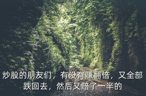 炒股的朋友們，有沒有賺翻倍，又全部跌回去，然后又賠了一半的