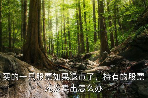 買(mǎi)的一只股票如果退市了，持有的股票還沒(méi)賣(mài)出怎么辦