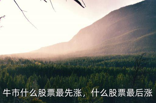 牛市什么股票最先漲，什么股票最后漲