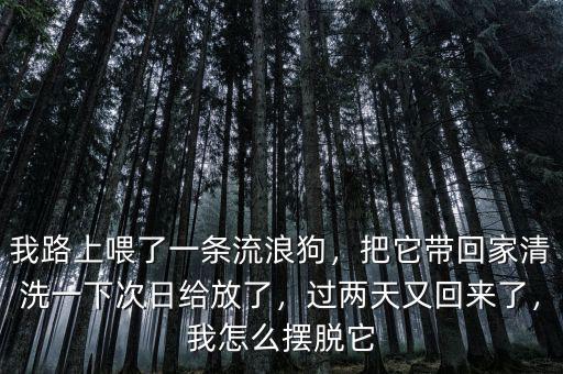 我路上喂了一條流浪狗，把它帶回家清洗一下次日給放了，過兩天又回來了，我怎么擺脫它