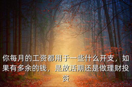 你每月的工資都用于一些什么開支，如果有多余的錢，是放活期還是做理財投資