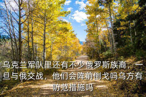烏克蘭軍隊里還有不少俄羅斯族裔，一旦與俄交戰(zhàn)，他們會陣前倒戈嗎烏方有防范措施嗎