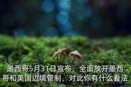 墨西哥5月31日宣布，全面放開墨西哥和美國邊境管制，對(duì)此你有什么看法
