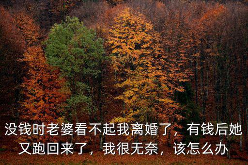 沒錢時(shí)老婆看不起我離婚了，有錢后她又跑回來了，我很無奈，該怎么辦