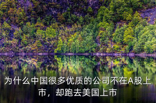 為什么中國很多優(yōu)質(zhì)的公司不在A股上市，卻跑去美國上市