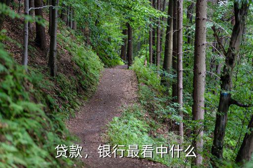 銀行放貸看重什么,銀行最看重的是什么