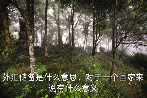 外匯儲(chǔ)備是什么意思，對(duì)于一個(gè)國家來說有什么意義