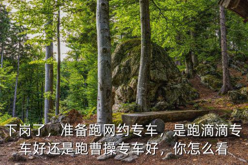 下崗了，準(zhǔn)備跑網(wǎng)約專車，是跑滴滴專車好還是跑曹操專車好，你怎么看