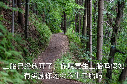 二胎已經(jīng)放開了，你愿意生二胎嗎假如有獎(jiǎng)勵(lì)你還會(huì)不生二胎嗎