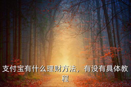 怎么用支付寶理財(cái),該如何用支付寶來(lái)理財(cái)呢