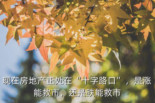 現(xiàn)在房地產(chǎn)正處在“十字路口”，是漲能救市，還是跌能救市
