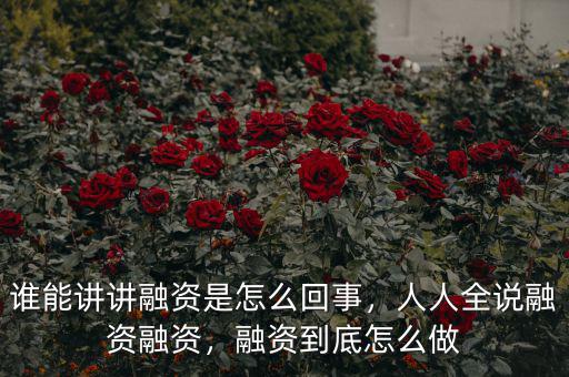 誰能講講融資是怎么回事，人人全說融資融資，融資到底怎么做