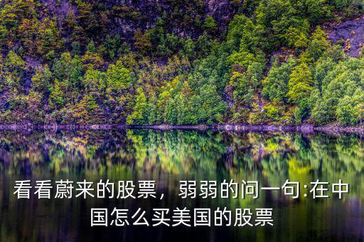 看看蔚來的股票，弱弱的問一句:在中國怎么買美國的股票