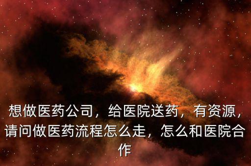 想做醫(yī)藥公司，給醫(yī)院送藥，有資源，請(qǐng)問做醫(yī)藥流程怎么走，怎么和醫(yī)院合作