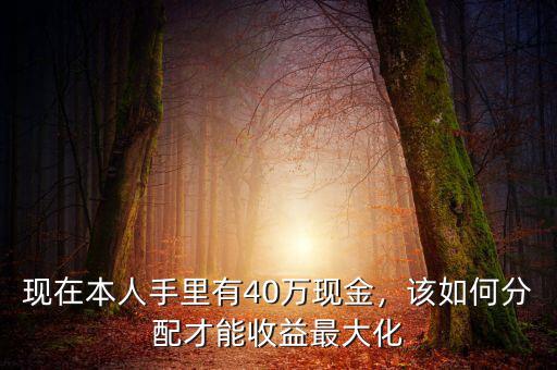 現(xiàn)在本人手里有40萬現(xiàn)金，該如何分配才能收益最大化