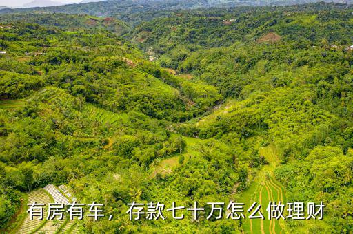 有房有車(chē)，存款七十萬(wàn)怎么做理財(cái)