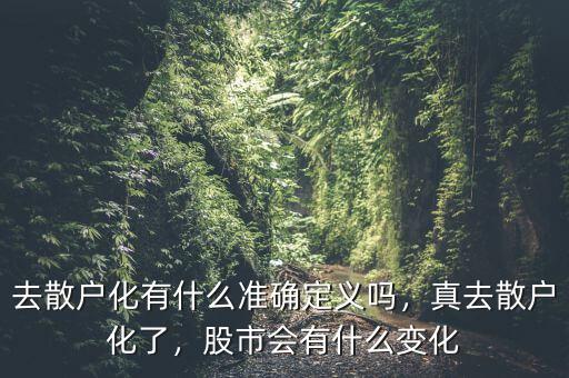 去散戶化有什么準(zhǔn)確定義嗎，真去散戶化了，股市會有什么變化