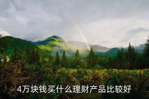 4萬(wàn)塊錢(qián)買(mǎi)什么理財(cái)產(chǎn)品比較好