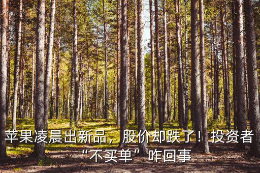 蘋果凌晨出新品，股價(jià)卻跌了！投資者“不買單”咋回事