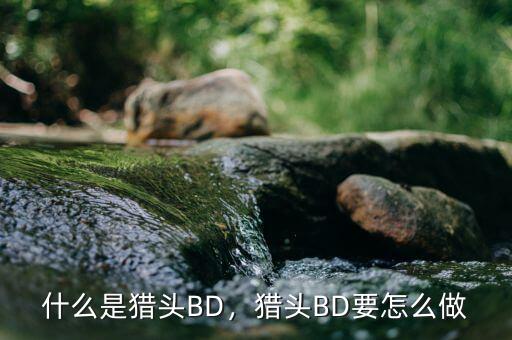 什么是獵頭BD，獵頭BD要怎么做