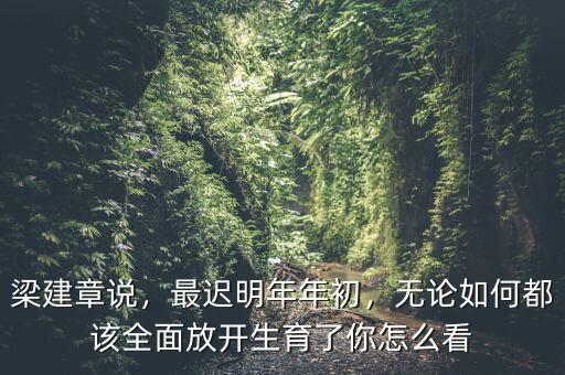 梁建章說，最遲明年年初，無(wú)論如何都該全面放開生育了你怎么看