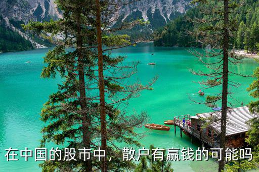 在中國的股市中，散戶有贏錢的可能嗎