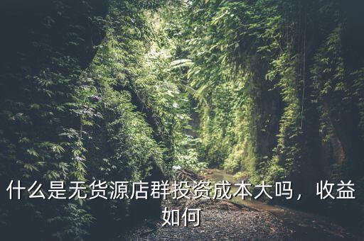 什么是無(wú)貨源店群投資成本大嗎，收益如何